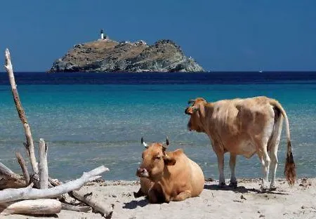 Porteo - Les Terrasses Du Port Vila