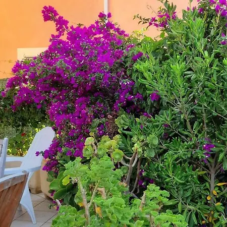 Porteo - Les Terrasses Du Port Centuri