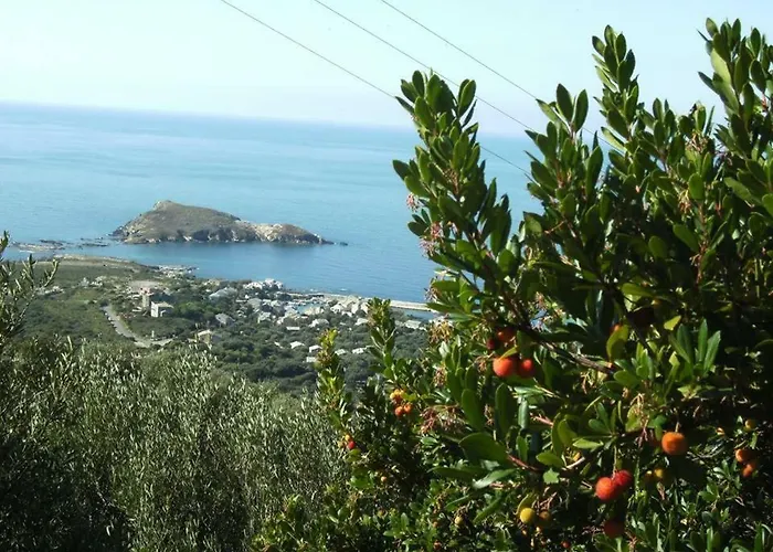 Porteo - Les Terrasses Du Port * Centuri