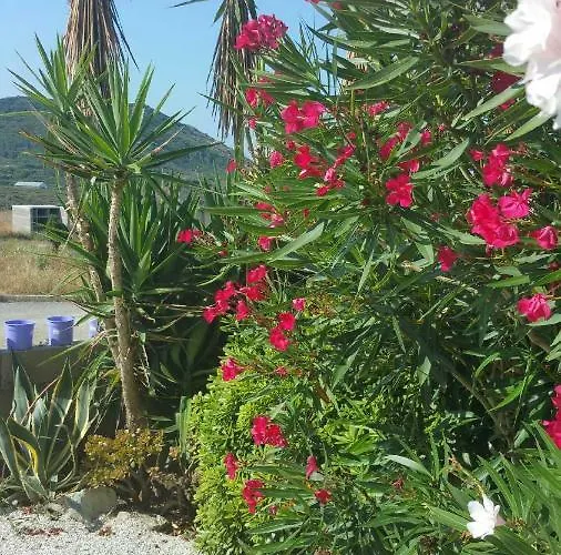 Porteo - Les Terrasses Du Port Vila