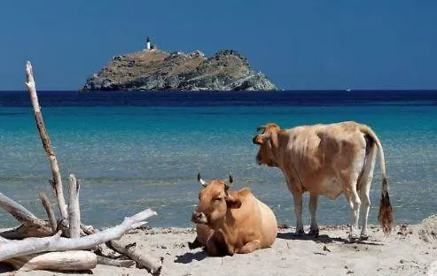 Porteo - Les Terrasses Du Port Villa