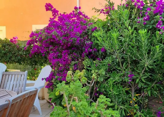 Porteo - Les Terrasses Du Port Centuri